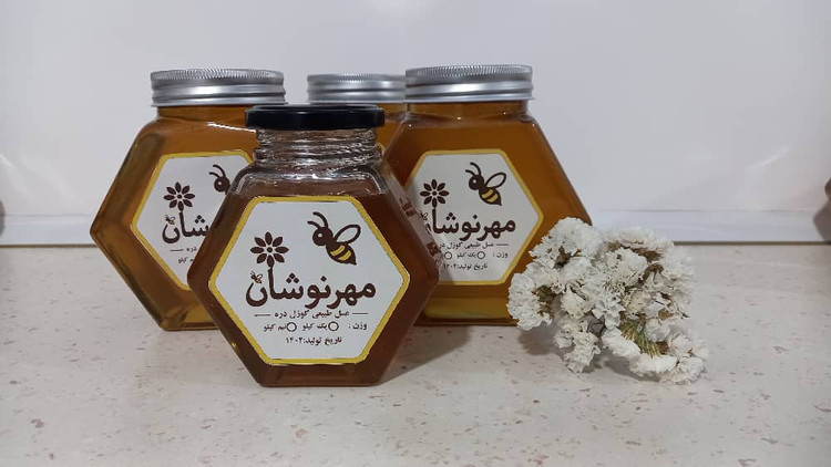 عسل کاملا طبیعی مهرنوشان. ۱ کیلویی